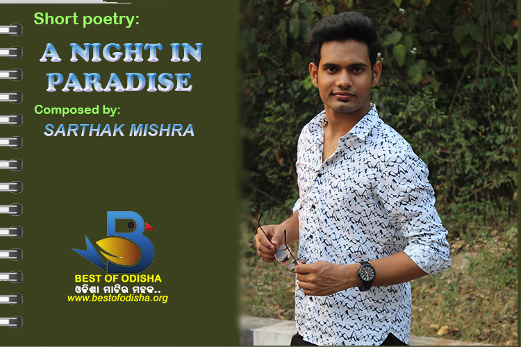 English short poem A NIGHT IN PARADISE by Sarthak Mishra in BEST OF ODISHA